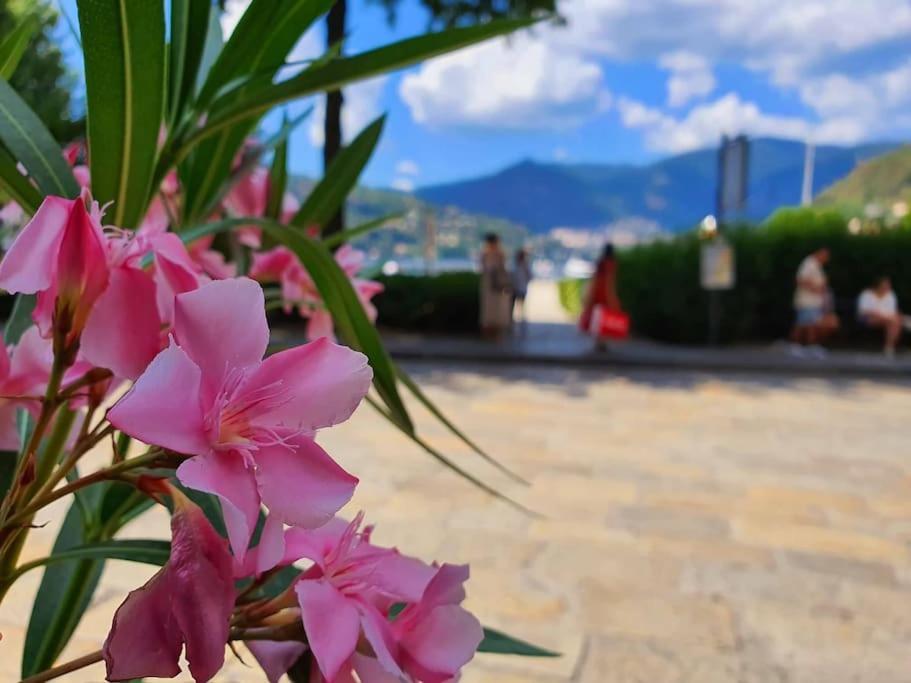 Plaza Deluxe Modern Center House - View Como Lake - Top Privacy Extérieur photo
